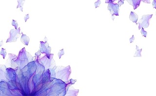 透明名片紫色花朵背景素材